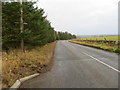 Road (B9093) near to Bonnie-view