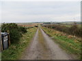 Track leading to South Skelmanae Croft