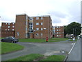 Flats on Dovedale Road, Wolverhampton