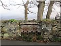 Hen gafn dwr? / An old watering trough?