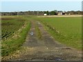 The lane to Siddle Farm House from the A63