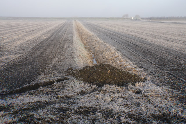 Frosted fen near Prickwillow