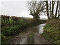 The Ley Brook at Upper Ley