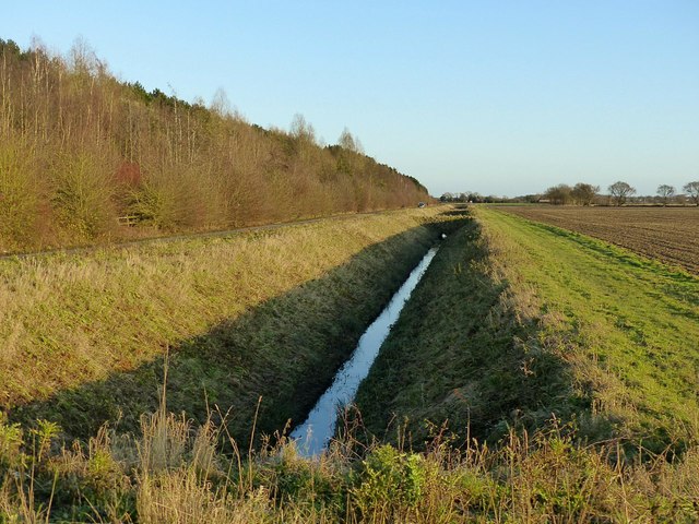 Low Common Drain, Milford © Alan Murray-Rust :: Geograph Britain and ...