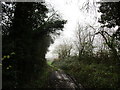 Muddy track, Rodley