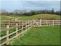 Public footpath onto golf course