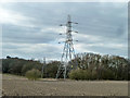 Pylons at corner of wood