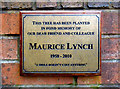 Plaque, Maurice Lynch