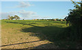 Sheep pasture south of Dennington Barton