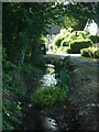 Stream at Brookside Cottage (Mansel Lacy)