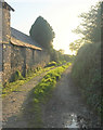 Green lane, Upcott Farm