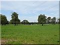 Grazing and power lines