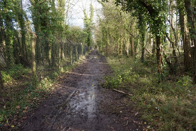 Royal Military Canal Path towards West Hythe Road