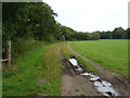 Farm track off Waterworks Lane