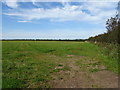 Grassland near Raby House Farm