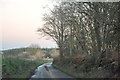 St Giles in the Wood : Country Lane