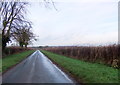 Chantry Lane near Etton