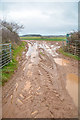 Helston : Muddy Track