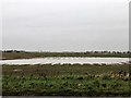 TF2205 : Flooded farmland near the A16 by Richard Humphrey