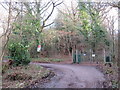 Driveway through Brown