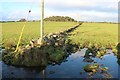 Drystane dyke near Mains of Altries