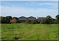 Grazing towards Raby Hall Farm