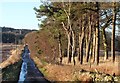 Country road in Banchory Devenick