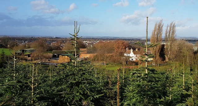 View over Abbotswood Farm