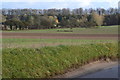 Fields south of Weston Colley