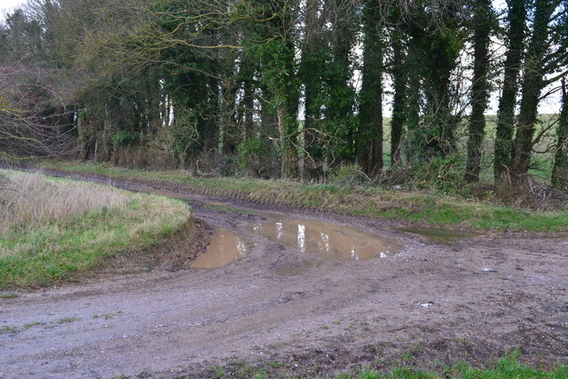 Junction of farm tracks north of Bazeley Copse