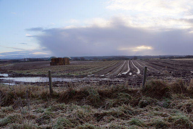 Fields near Castle Stuart