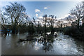 River Mole in flood