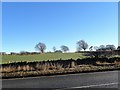 Winter scene along Medomsley Road