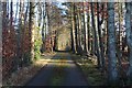 Driveway to Auchlunies