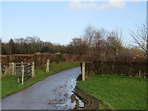 TQ3841 : Gate on driveway near Felcourt by Malc McDonald