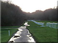 TQ3942 : Footpath alongside Lingfield Park racecourse by Malc McDonald