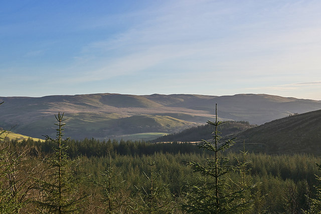 View over the forestry on Rhos y Cŵn