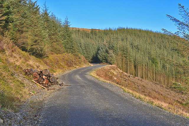 Forestry road heading for Bryn Llwyd