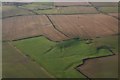 Field between Calcethorpe and Welton le Wold: aerial 2019 (2)