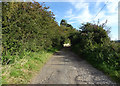 Track to Hillside Cottages