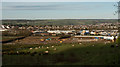 SS5431 : Work continues on Roundswell South Business Park by Roger A Smith