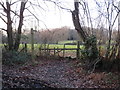 TQ4043 : Footpath into a field, near Lingfield by Malc McDonald