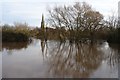 SO8440 : Flooding at Upton-upon-Severn by Philip Halling