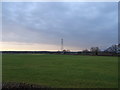 Grazing and pylon near Wath Bridge