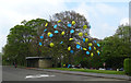 Umbrellas in a tree, Lister Park, Bradford