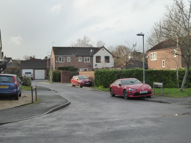 Duck Meadow, Lyppard-Hanford © Chris Allen :: Geograph Britain and Ireland