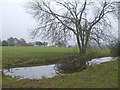 Sheep wash near Charlton Farm