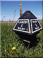 NR6420 : Old Milepost by the B843 in Machrihanish by C Minto