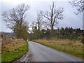 Lane towards Frogden, Linton and Morebattle