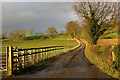 SE3261 : Drive to Hill Top Farm by Derek Harper